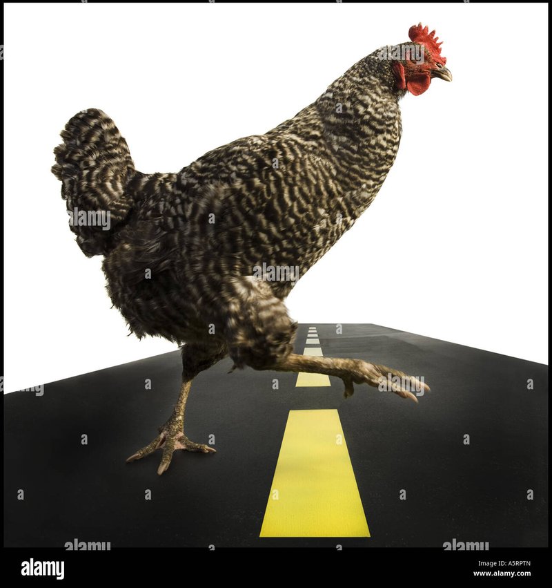 Descubre el misterio de la Ruta del Pollo: El juego de casino que cautiva a