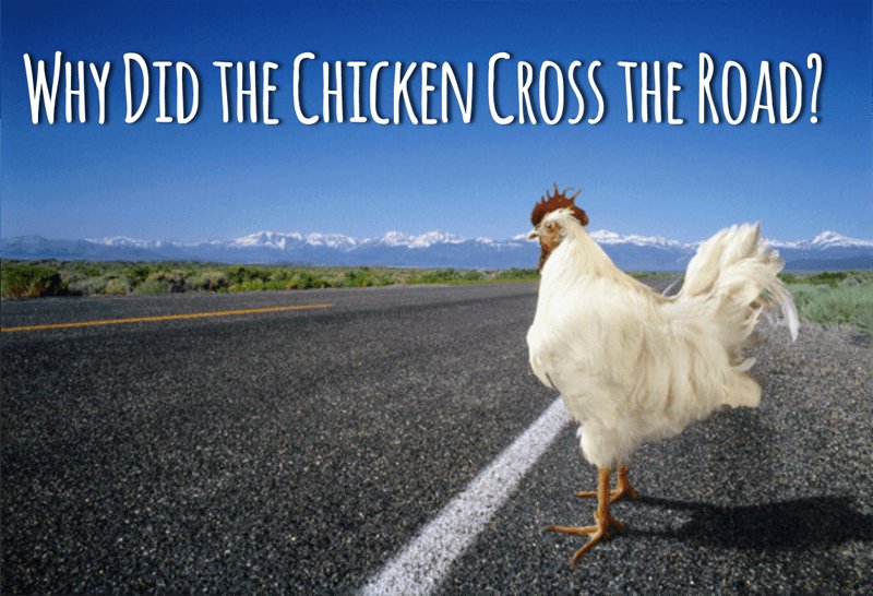 Descubre la Emoción de Chicken Road Casino en Línea en España, chicken road online