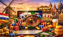 B7 Casino – een kritische blik op het Nederlandse online casino