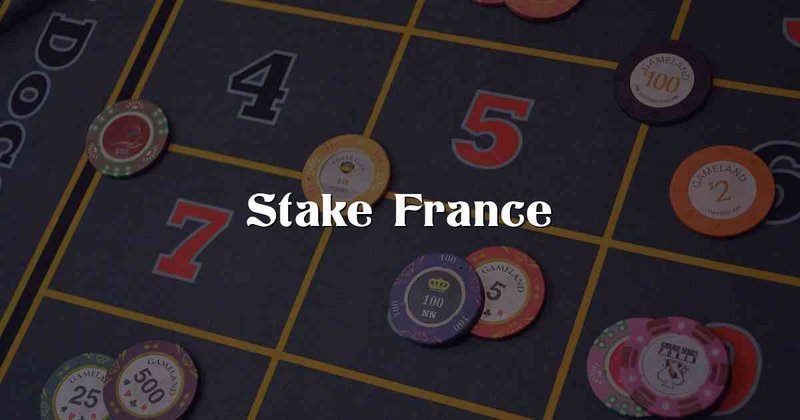 Découvrez les meilleurs bonus Stake Casino sur le marché français en ligne - aperçu